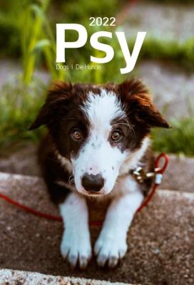 Opakowanie Kalendarz 2022 Wieloplanszowy Psy CRUX