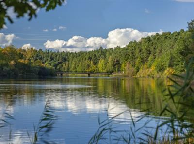 Opakowanie Kalendarz trójdzielny 2020 jezioro jesień