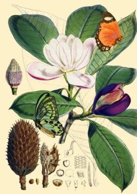 Opakowanie Karnet B6 brokat z kopertą Natura 1