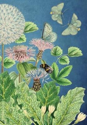 Opakowanie Karnet B6 brokat z kopertą Owady w ogrodzie