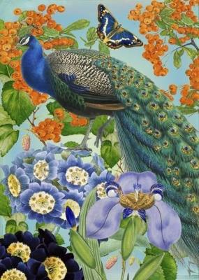 Opakowanie Karnet B6 brokat z kopertą Paw