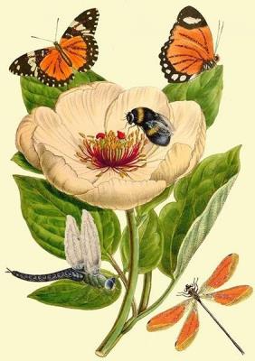 Opakowanie Karnet B6 brokat z kopertą Piwonia