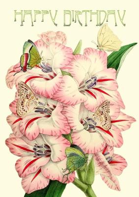 Opakowanie Karnet B6 brokat z kopertą Urodziny Mieczyki