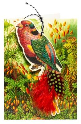 Opakowanie Karnet B6 i zawieszka z kopertą - Papuga