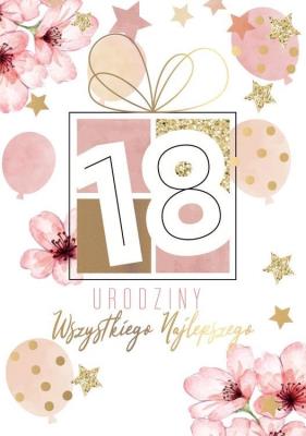 Opakowanie Karnet B6 PR-353 Urodziny 18