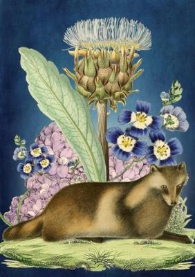 Opakowanie Karnet B6 z kopertą Duży oset