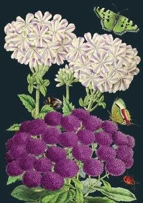 Opakowanie Karnet B6 z kopertą Fioletowe kwiaty