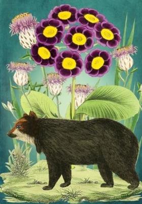 Opakowanie Karnet B6 z kopertą Niedźwiedź i pierwiosnek