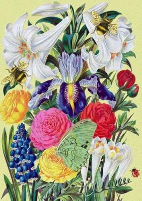 Opakowanie Karnet B6 z kopertą Ogród