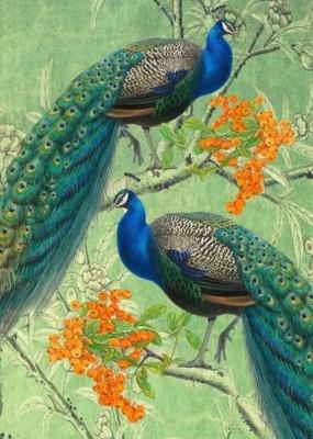 Opakowanie Karnet B6 z kopertą Pawie