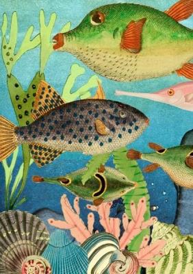 Opakowanie Karnet B6 z kopertą Ryby