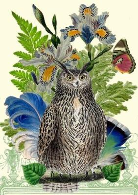 Opakowanie Karnet B6 z kopertą Sowa