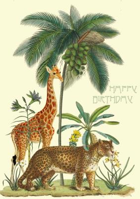 Opakowanie Karnet B6 z kopertą Urodziny Kokos