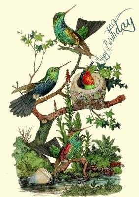 Opakowanie Karnet B6 z kopertą Urodziny Kolibry