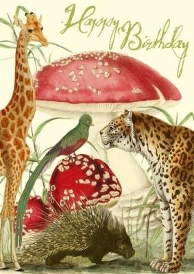 Opakowanie Karnet B6 z kopertą Urodziny Niespotykany ogród