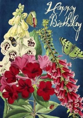 Opakowanie Karnet B6 z kopertą Urodziny Ogród nocą