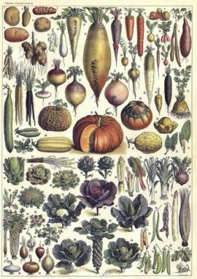 Opakowanie Karnet B6 z kopertą Warzywa