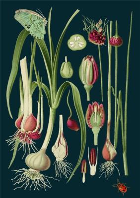 Opakowanie Karnet B6 z kopertą Zielony motyl