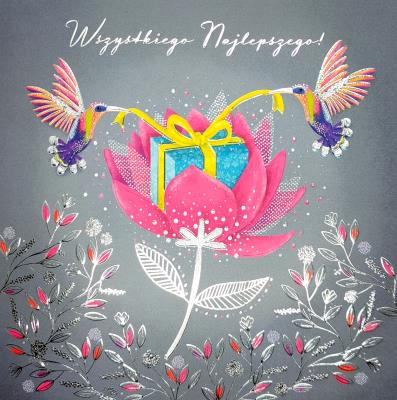 Opakowanie Karnet KW TŁ Prezent kolibry