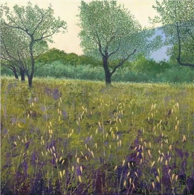 Opakowanie Karnet z kopertą Drzewa oliwne