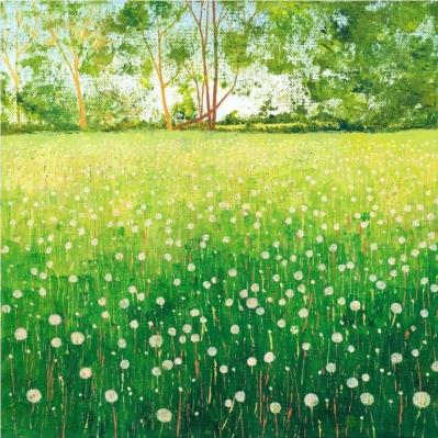 Opakowanie Karnet z kopertą Mniszek lekarski