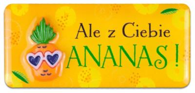 Opakowanie Magnes POP-13