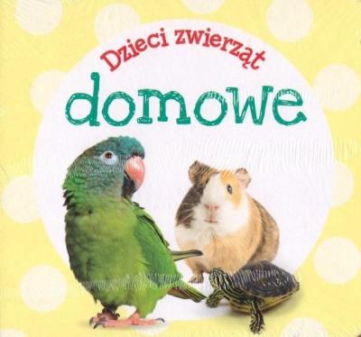 Okładka książki Pakiet: wiem wszystko