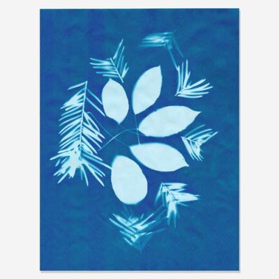 Opakowanie Papier słoneczny (cyjanotypia) 10 arkuszy 21,5 x 28 cm