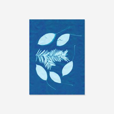 Opakowanie Papier słoneczny (cyjanotypia)  20 arkuszy 14 x 19cm