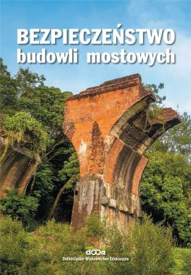 Bezpieczeństwo budowli mostowych. Autor: Wojciech Radomski. SmakLiter.pl Okładka książki Bezpieczeństwo budowli mostowych