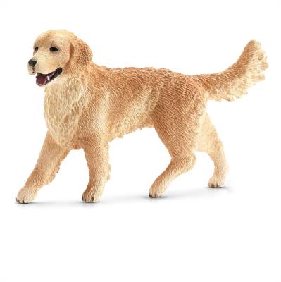 Opakowanie Golden Retriever suczka SLH16395