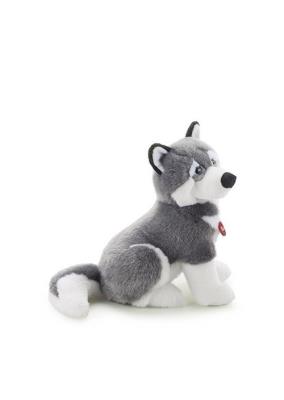 Opakowanie Husky Marcus L