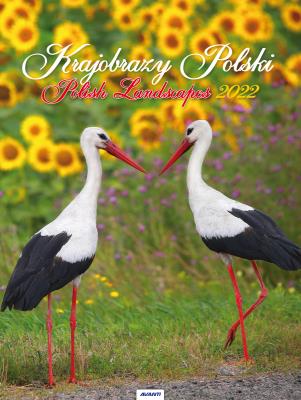 Opakowanie Kalenadarz 2022 ścienny mały Krajobrazy Polski KSMS1