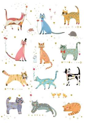 Opakowanie Karnet B6 + koperta Kotki