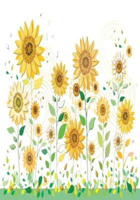 Opakowanie Karnet B6 + koperta Słoneczniki