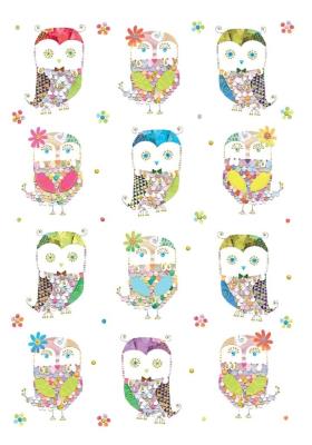 Opakowanie Karnet B6 + koperta Sówki