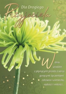 Opakowanie Karnet PR-370 Urodziny (kwiaty, przyjaciel)