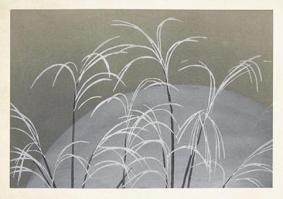 Opakowanie Karnet ST384 B6 + koperta Japońska trawa