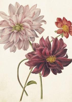 Opakowanie Karnet ST386 B6 + koperta Dalia