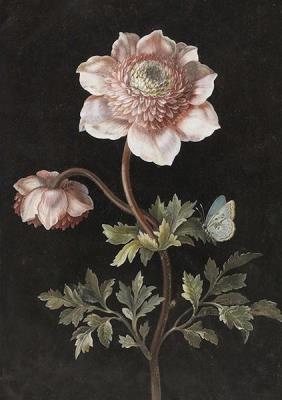 Opakowanie Karnet ST392 B6 + koperta Piwonie