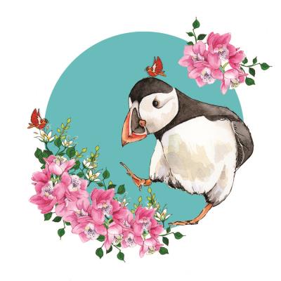 Opakowanie Karnet Swarovski kwadrat CL2001 Maskonur