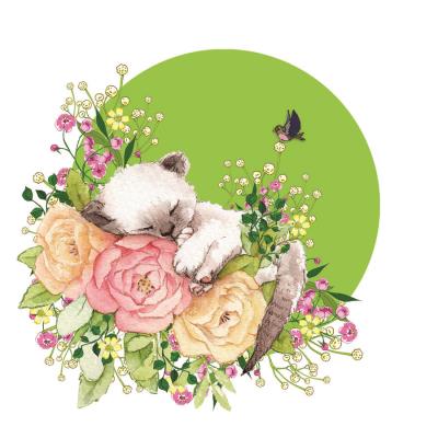 Opakowanie Karnet Swarovski kwadrat CL2002 Kot