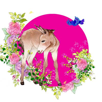 Opakowanie Karnet Swarovski kwadrat CL2003 Osioł