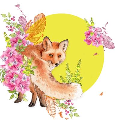 Opakowanie Karnet Swarovski kwadrat CL2005 Lis