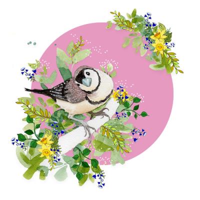 Opakowanie Karnet Swarovski kwadrat CL2010 Ptaszek