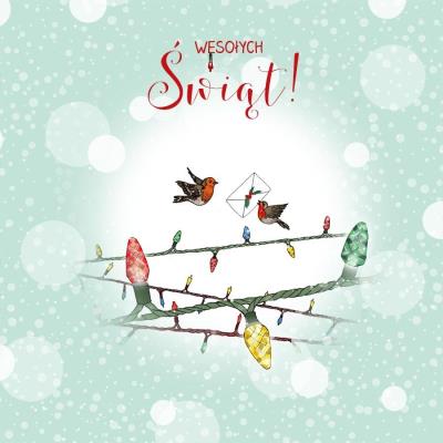 Opakowanie Karnet Swarovski kwadrat CL3509_PO Święta Lampki