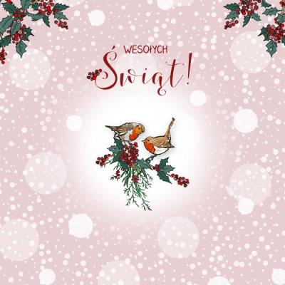 Opakowanie Karnet Swarovski kwadrat CL3510_PO Święta Ptaszki