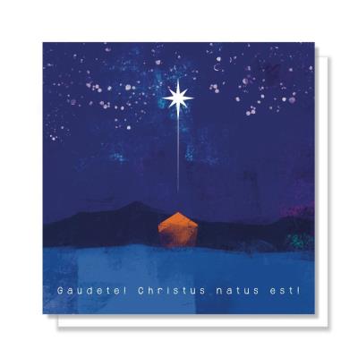 Opakowanie Kartka Boże Narodzenie 04