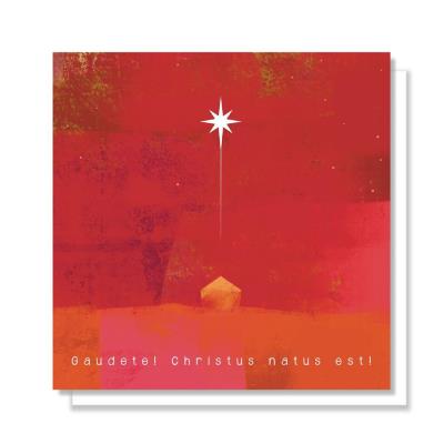 Opakowanie Kartka Boże Narodzenie 07