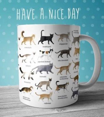 Okładka książki Kubek z kotami